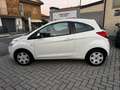 Ford Ka/Ka+ Ka 1.3 Open Collection 70cv Weiß - thumbnail 4