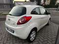 Ford Ka/Ka+ Ka 1.3 Open Collection 70cv Weiß - thumbnail 7