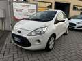 Ford Ka/Ka+ Ka 1.3 Open Collection 70cv Weiß - thumbnail 3