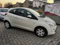 Ford Ka/Ka+ Ka 1.3 Open Collection 70cv Weiß - thumbnail 8