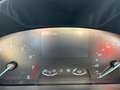Ford Focus Cool & Connect 1.0 /B&O/LED/KAMERA/SHZ/Assistenzsy Negro - thumbnail 10