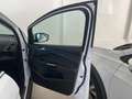 Ford C-Max C-Max 1.6 Titanium Gpl 120cv UNICO PROPRIETARIO Weiß - thumbnail 31