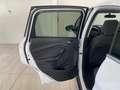 Ford C-Max C-Max 1.6 Titanium Gpl 120cv UNICO PROPRIETARIO Weiß - thumbnail 32