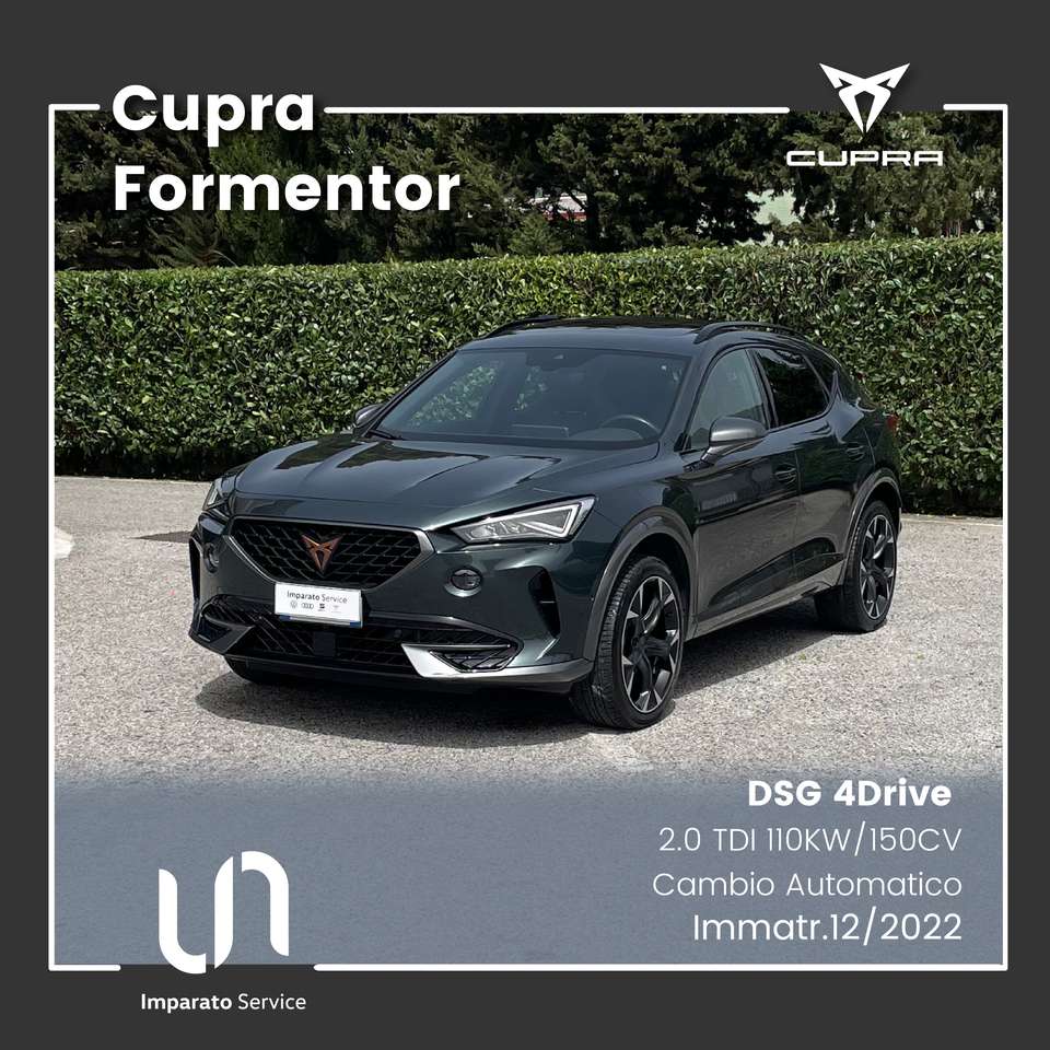 CUPRA Formentor 2.0 TDI DSG 4Drive 110KW/150CV