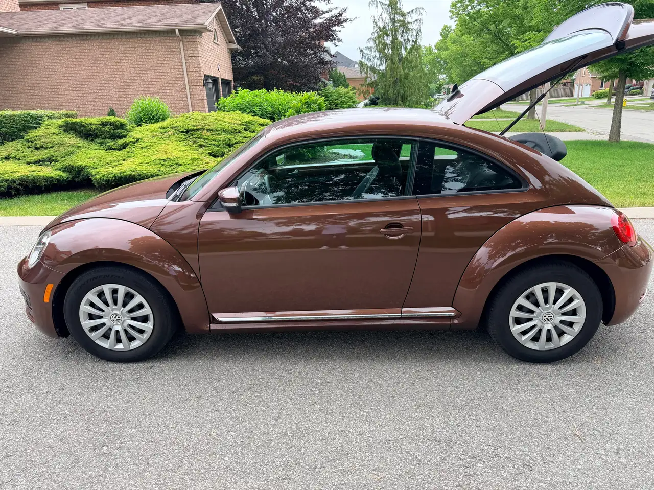 Volkswagen Beetle photo Volkswagen Beetle