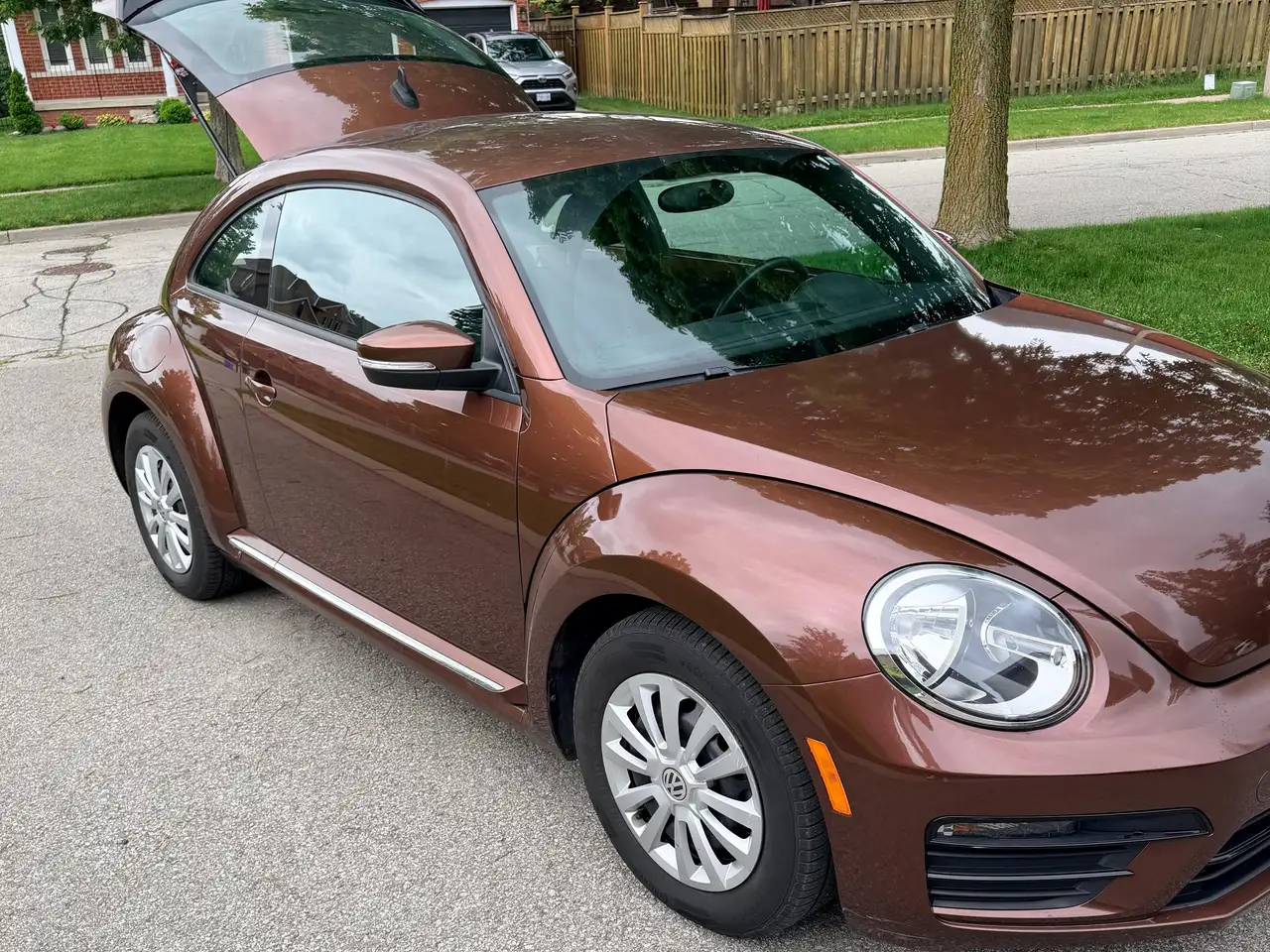 Volkswagen Beetle photo Volkswagen Beetle