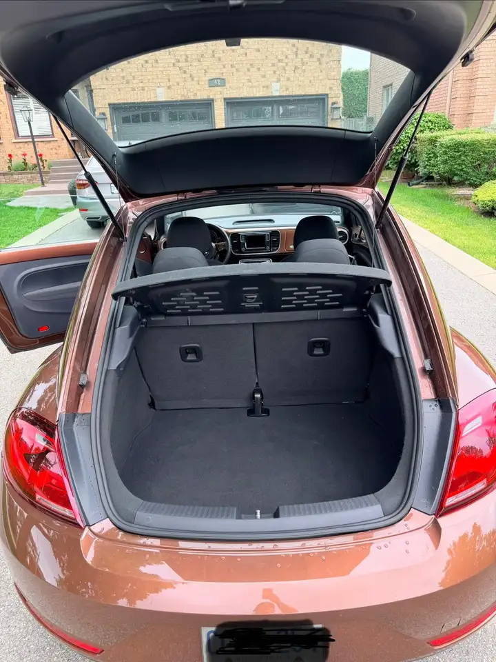 Volkswagen Beetle photo Volkswagen Beetle
