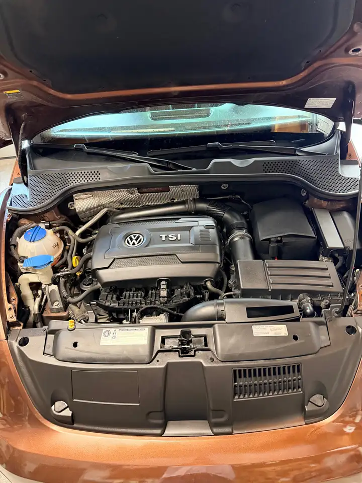 Volkswagen Beetle photo Volkswagen Beetle