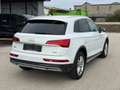 Audi Q5 40 TDI quattro Weiß - thumbnail 3