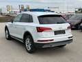 Audi Q5 40 TDI quattro Weiß - thumbnail 4