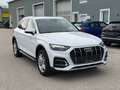 Audi Q5 40 TDI quattro Weiß - thumbnail 2