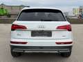 Audi Q5 40 TDI quattro Weiß - thumbnail 6