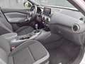 Nissan Juke 1.0 dig-t N-Connecta 114cv Bianco - thumbnail 12
