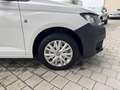 Volkswagen Caddy Cargo 2.0 TDI *TOP-Ausstattung* NEUES MODELL Weiß - thumbnail 11