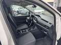 Volkswagen Caddy Cargo 2.0 TDI *TOP-Ausstattung* NEUES MODELL Weiß - thumbnail 14