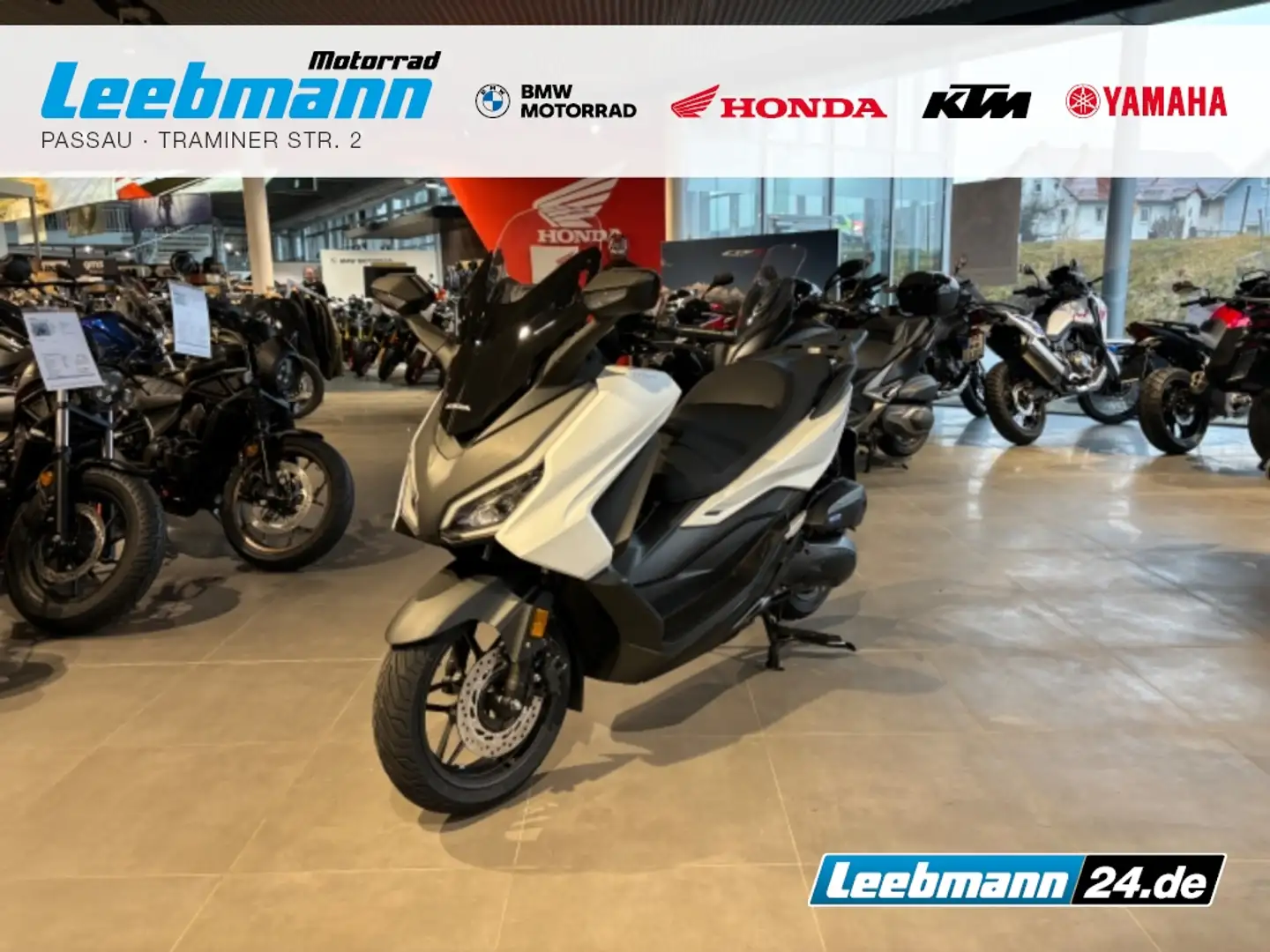 Honda Forza 125 NSS 125 Modell 2025 mehr Farben Lagernd Blanco - 1