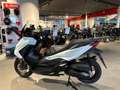 Honda Forza 125 NSS 125 Modell 2025 mehr Farben Lagernd Blanc - thumbnail 3