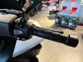 Honda Forza 125 NSS 125 Modell 2025 mehr Farben Lagernd Blanc - thumbnail 8