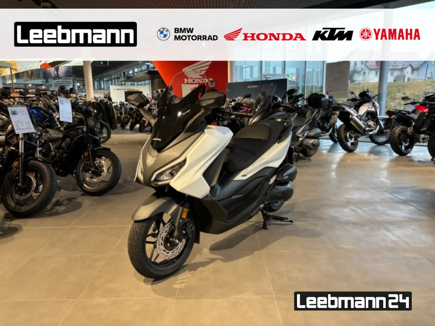 Honda Forza 125 NSS 125 Modell 2025 mehr Farben Lagernd Weiß - 1