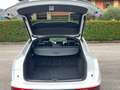 Audi Q5 SPB 40 TDI quattro S tronic S line plus Bianco - thumbnail 20
