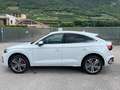 Audi Q5 SPB 40 TDI quattro S tronic S line plus Bianco - thumbnail 8