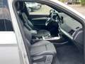 Audi Q5 SPB 40 TDI quattro S tronic S line plus Bianco - thumbnail 23