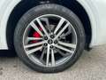 Audi Q5 SPB 40 TDI quattro S tronic S line plus Bianco - thumbnail 4