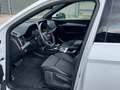 Audi Q5 SPB 40 TDI quattro S tronic S line plus Bianco - thumbnail 16