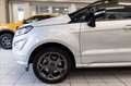 Ford EcoSport 1.0 ecoboost ST-Line 100cv my19 Grigio - thumbnail 7