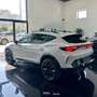 CUPRA Formentor 1.5 hybrid 150cv dsg Bianco - thumbnail 6