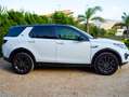 Land Rover Discovery Sport Discovery Sport 2.0 td4 HSE Luxury awd 180cv my18 Bianco - thumbnail 7