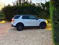 Land Rover Discovery Sport Discovery Sport 2.0 td4 HSE Luxury awd 180cv my18 Wit - thumbnail 6