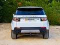 Land Rover Discovery Sport Discovery Sport 2.0 td4 HSE Luxury awd 180cv my18 Bianco - thumbnail 8