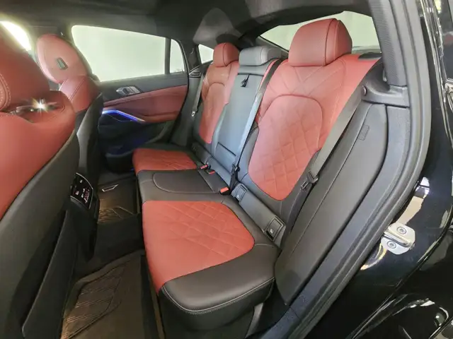 BMW X6 view 10