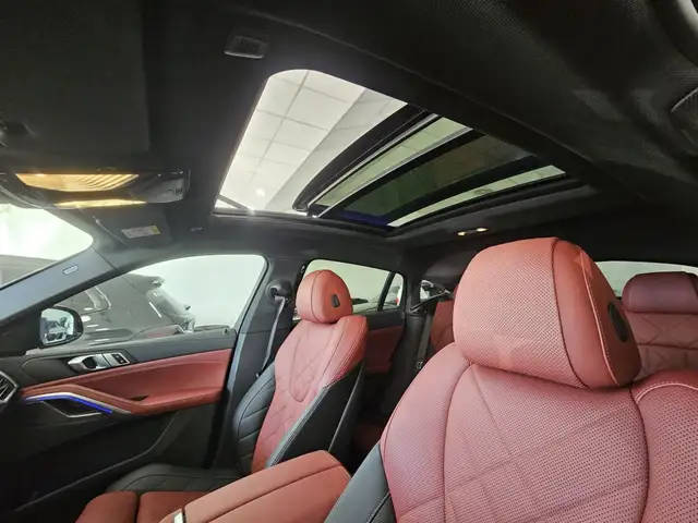 BMW X6 view 7