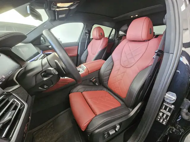 BMW X6 view 8