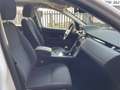Land Rover Discovery Sport 2.0d ed4 fwd 163cv UNICO PROPRIETARIO BELLISSIMA Blanc - thumbnail 9