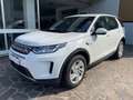 Land Rover Discovery Sport 2.0d ed4 fwd 163cv UNICO PROPRIETARIO BELLISSIMA Blanc - thumbnail 1