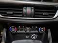 Alfa Romeo Stelvio 2.0 Turbo 280 CV AT8 Q4 Competizione Rojo - thumbnail 24