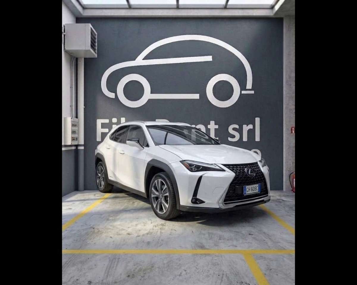 Lexus UX 300e 300e 54,3kWh  Luxury