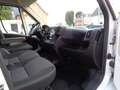 Fiat Ducato -Navi,Klima, Kamera.Tempomat. Weiß - thumbnail 14