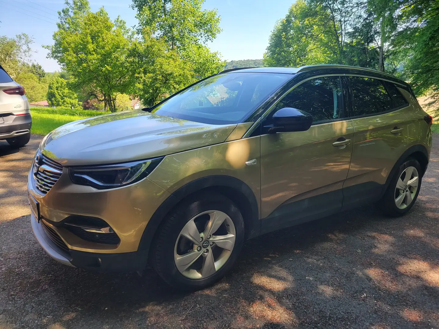 Opel Grandland X 1,6 CDTI BlueInjection Start/Stopp Ultimate Gold - 2