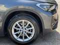 BMW X1 sDrive16d Business Advantage FARI TAG. BMW Grau - thumbnail 6