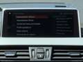 BMW X1 sDrive16d Business Advantage FARI TAG. BMW Grau - thumbnail 20