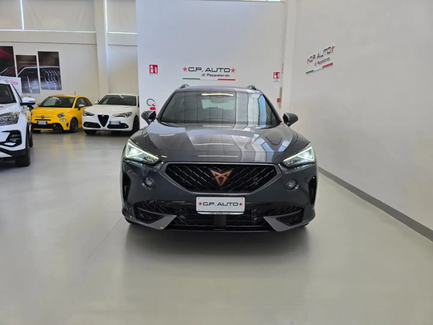 CUPRA Formentor 2.0 TDI 4Drive DSG Grigio - 2
