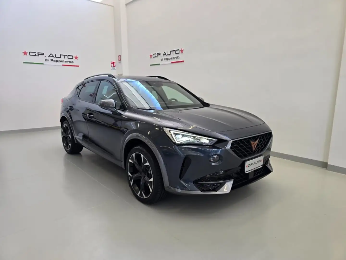 CUPRA Formentor 2.0 TDI 4Drive DSG Grigio - 1