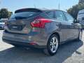 Ford Focus 1.6 Lim. Champions Edition Braun - thumbnail 4