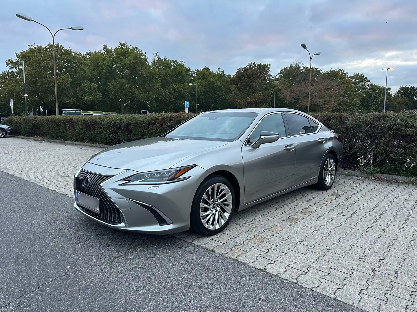 Lexus ES 300 300h Business Aut. - 1