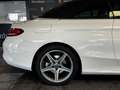 Mercedes-Benz C 300 Cabrio 9G-Tronic (9.75) Blanco - thumbnail 45