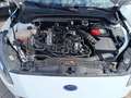 Ford Focus 125 CH ECOBOOST TITANIUM société Blanc - thumbnail 11